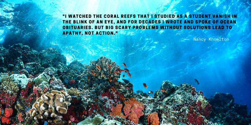 inspiring ocean quote i watched the coral Nancy Knowlton