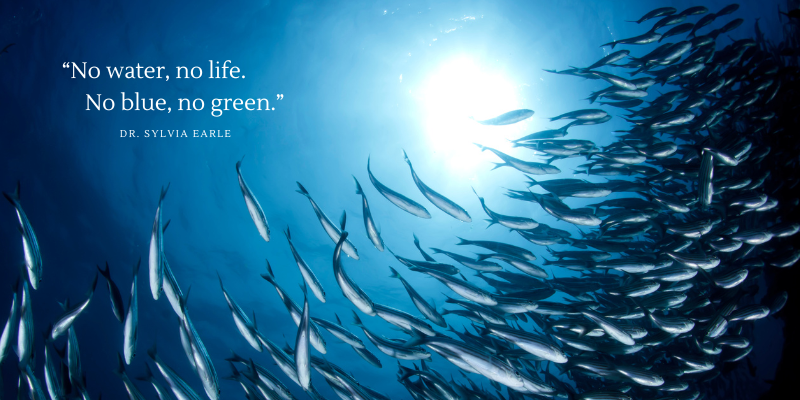 inspiring ocean quote no water no life Sylvia Earle