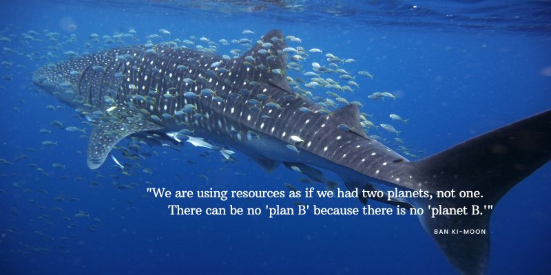 inspiring ocean quote we are using resources planet B Ban Ki-moon