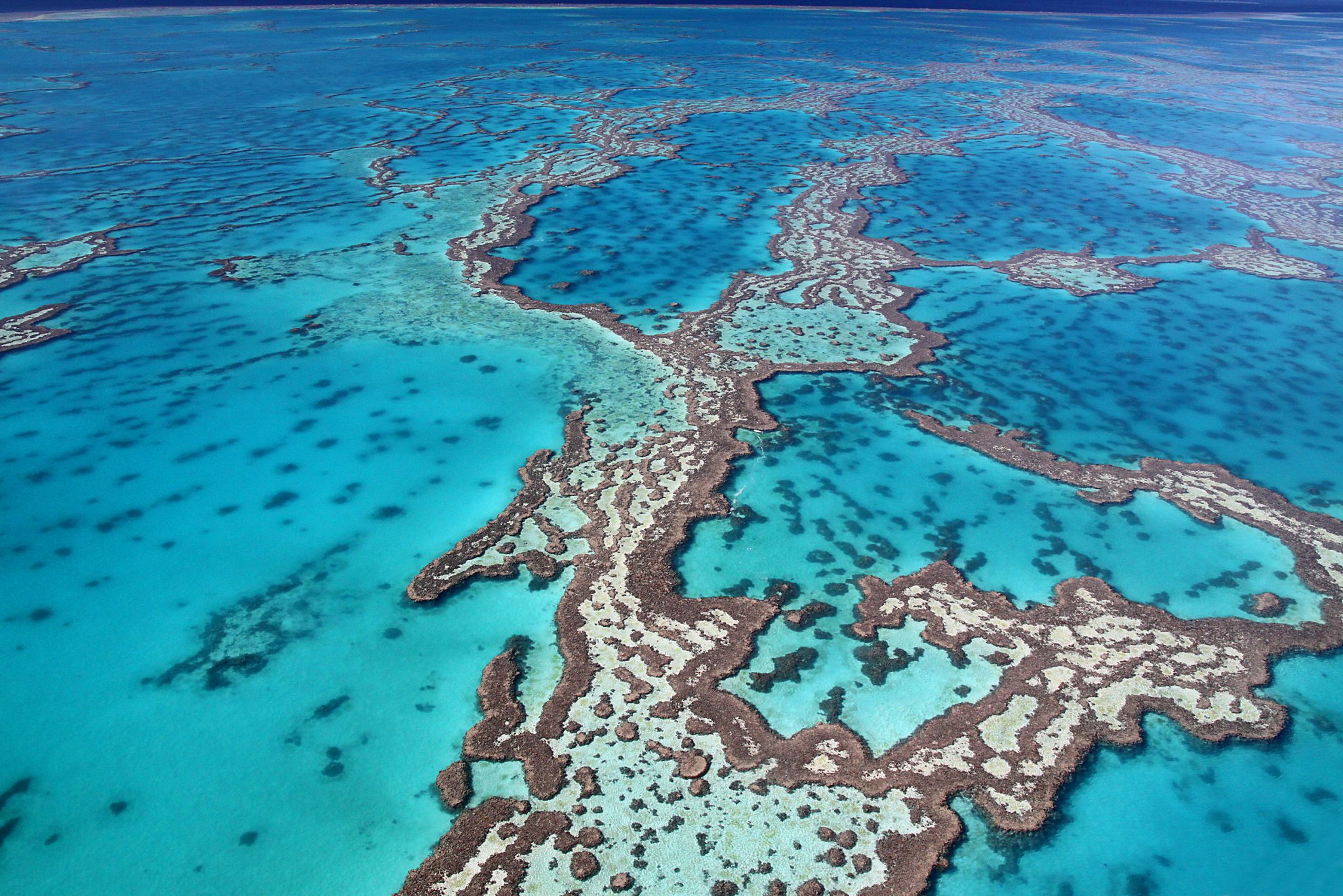 GreatBarrierReef_Queensland_Shutterstock