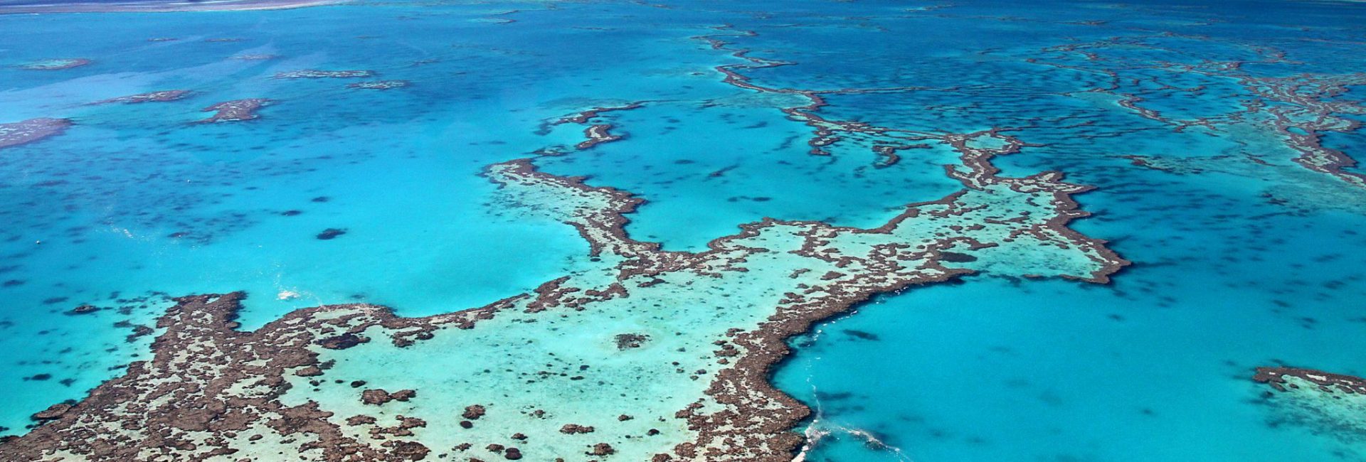 The Best Diving Destinations in Australia & New Zealand