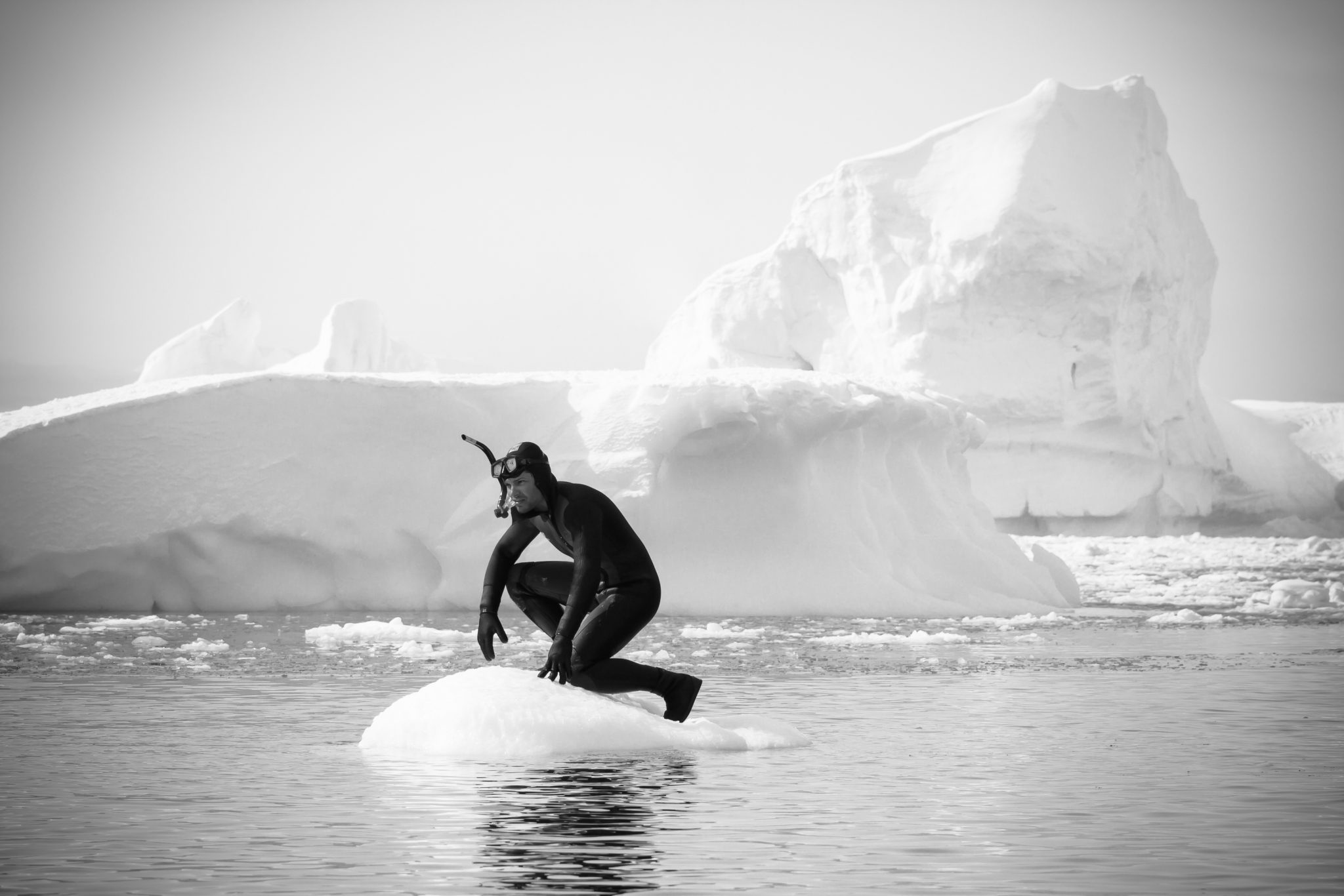 diving with endangered species in Antarctica, a hotspot for large endangered marine animal