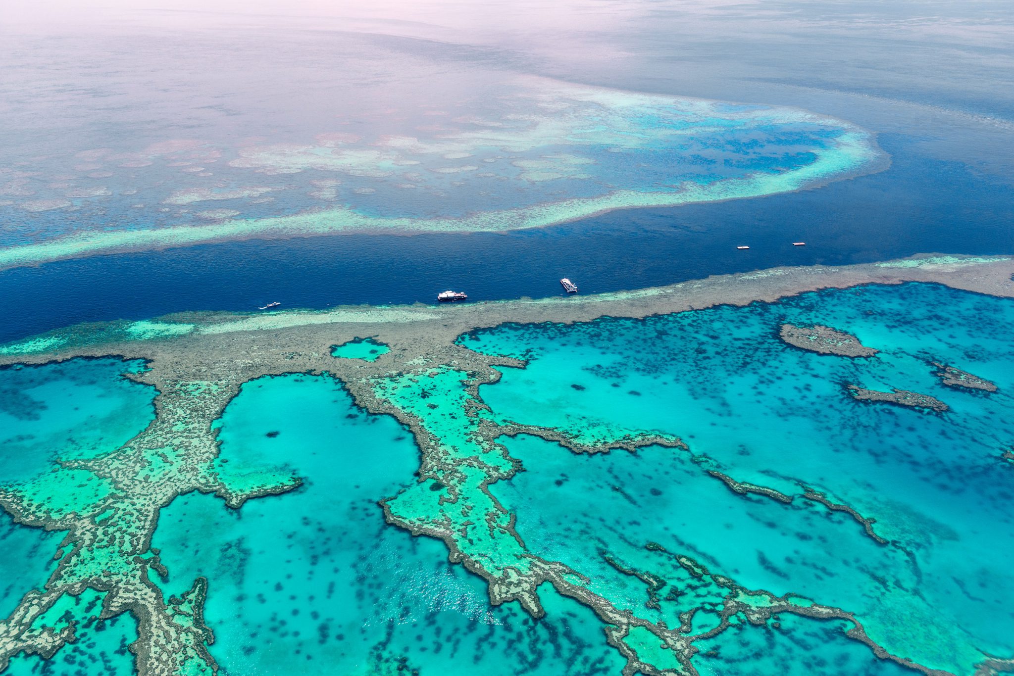 Great Barrier Reef - Aerial Shot - Coral Reefs - Blue Water