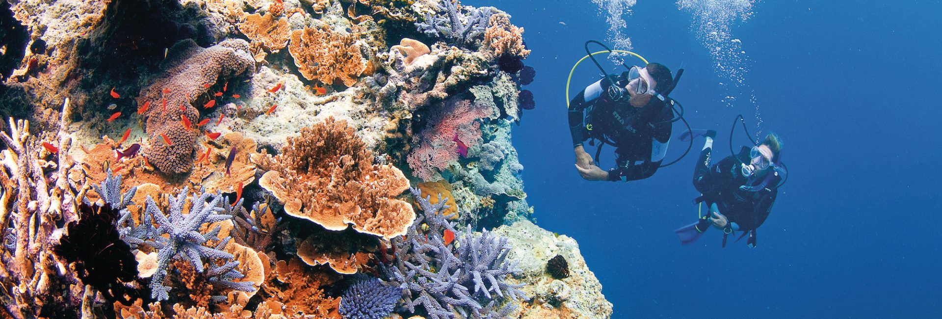 Scuba Diving Sunshine Coast, Australia
