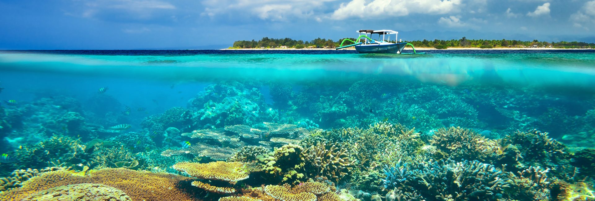 4 Unique North Bali Experiences to Add to Your Bucket List