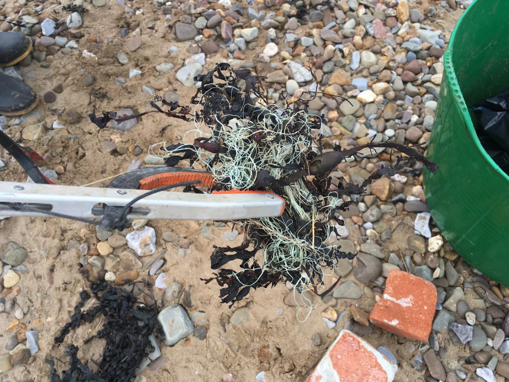 Beach clean up debris