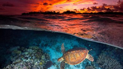 whitsunday islands