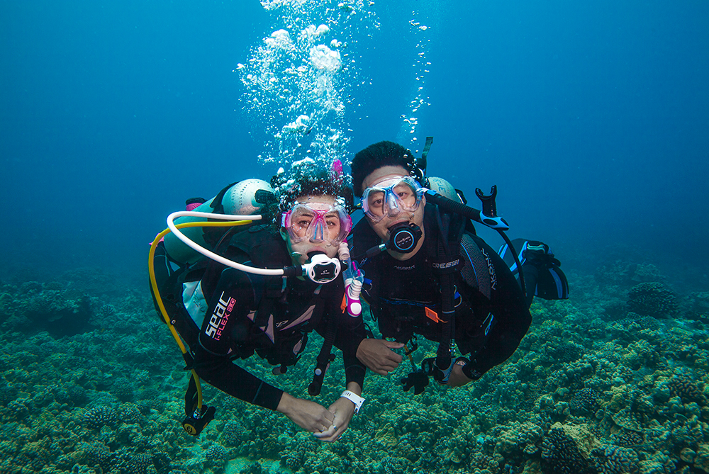 Two scuba divers underwater who could say they either dived or dove together, as both diving words are grammatically correct