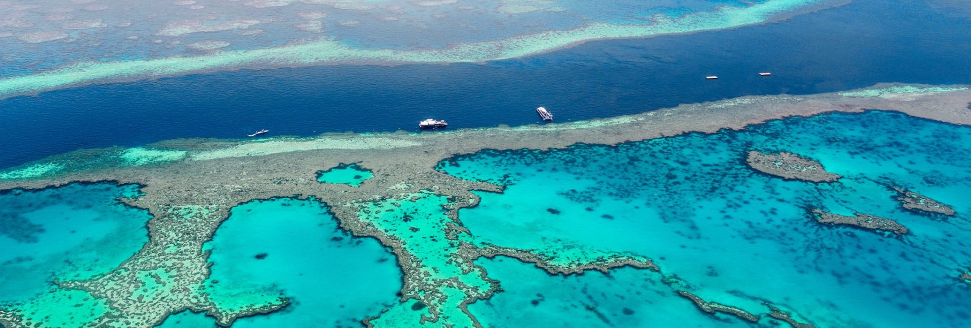 Your Guide to Diving the Great Barrier Reef