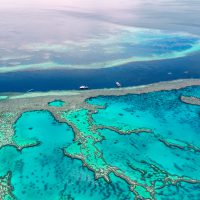 How can you help the Great Barrier Reef Header