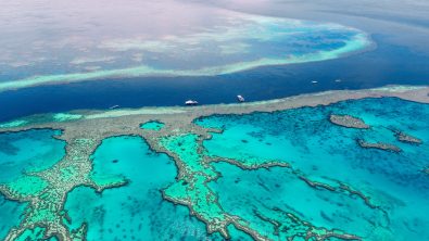 How can you help the Great Barrier Reef Header