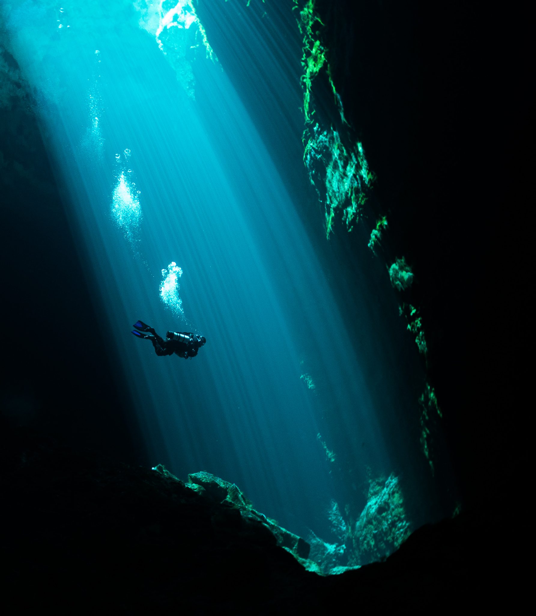 Kilsby Sinkhole - South Australia -Matt Testoni - Underwater Photography
