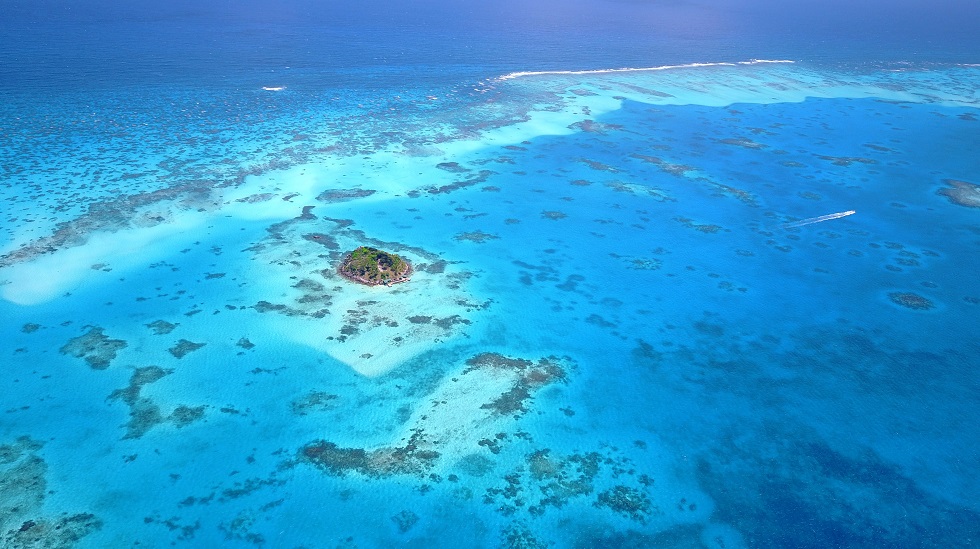 Eco Travel: Spotlight on the Caribbean, Central America and Mexico