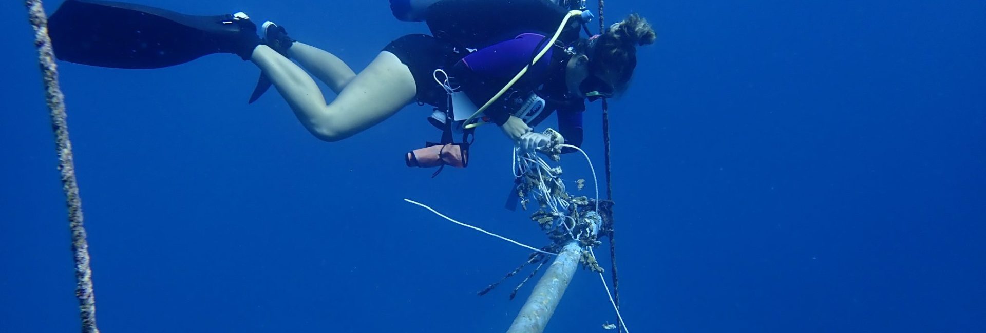 Women in Diving: Coral Biologist Megan Clampitt