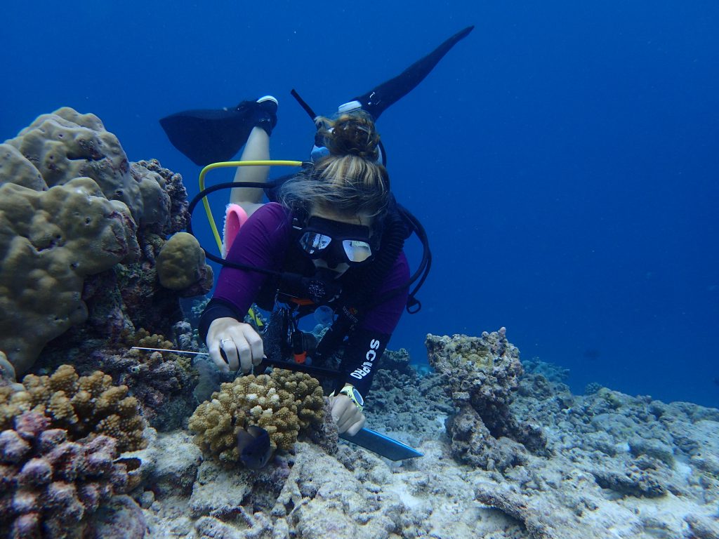 Coral Biologist Megan monitoring