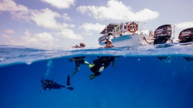 learn to dive as a family