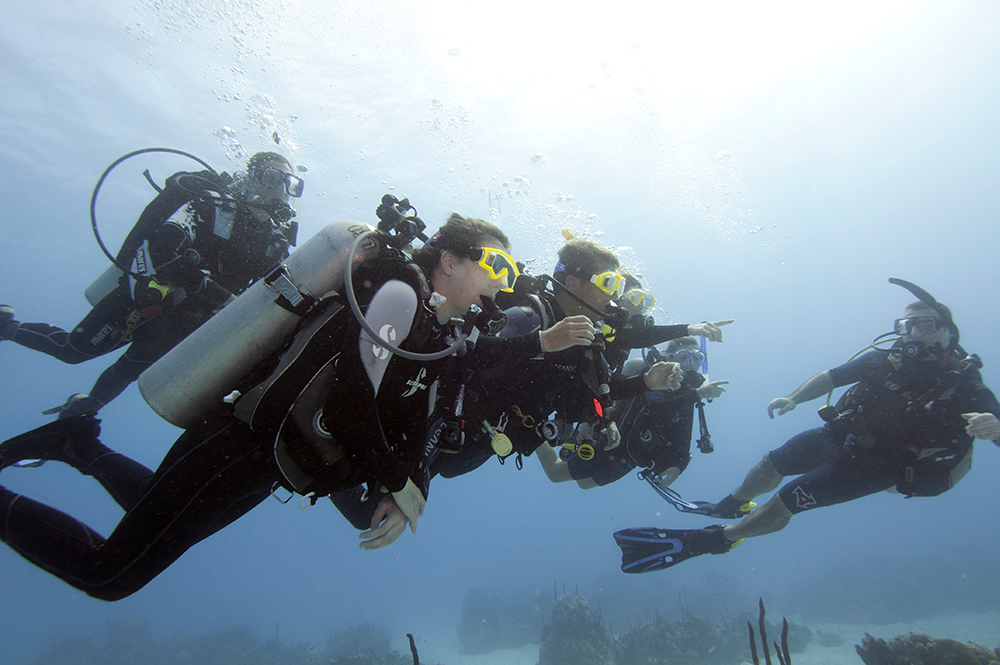 Group Dive - Scuba Divers - PADI 