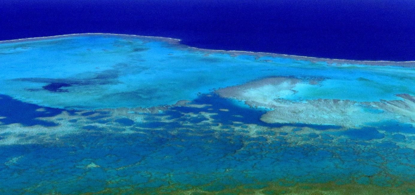 World Heritage Marine Sites: how the UNESCO label can help our oceans