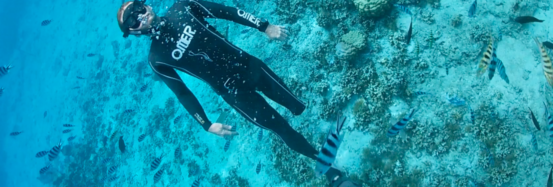 How Scuba Divers Put the Fun in Fundraising
