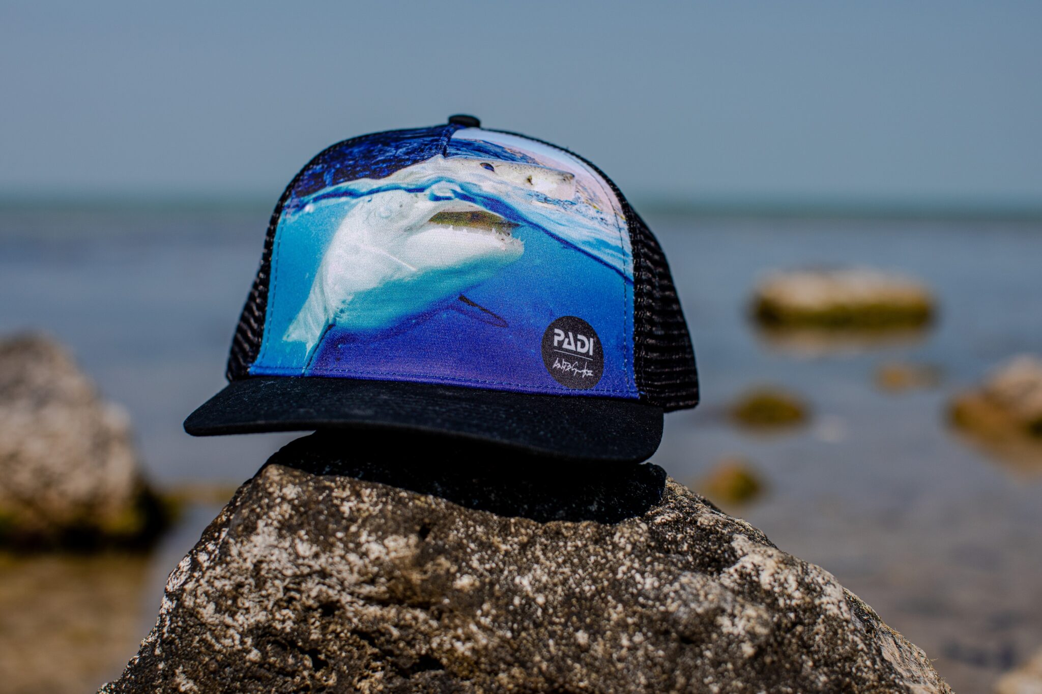 a shark trucker hat sits on a rock by the ocean