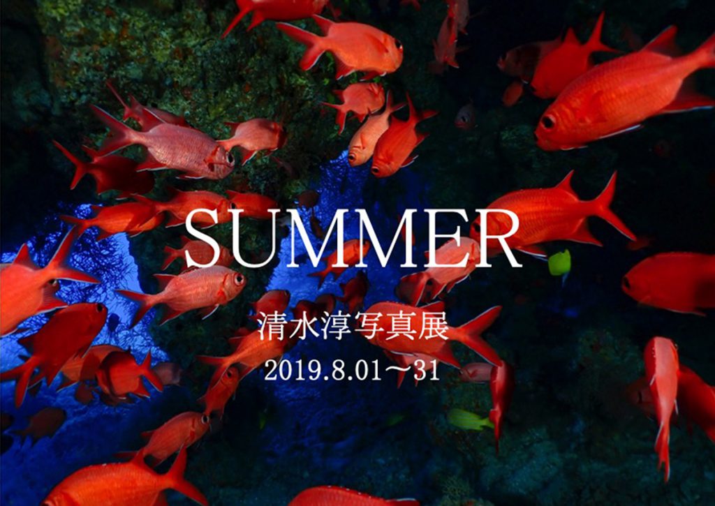 清水淳写真展「SUMMER」 2019年8月1～31日に開催！