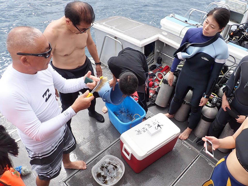 《オリンパス》「未来に残したい海」プロジェクト in 沖縄」でワールドオーシャンズデイにサンゴの植え付けを実施しました！