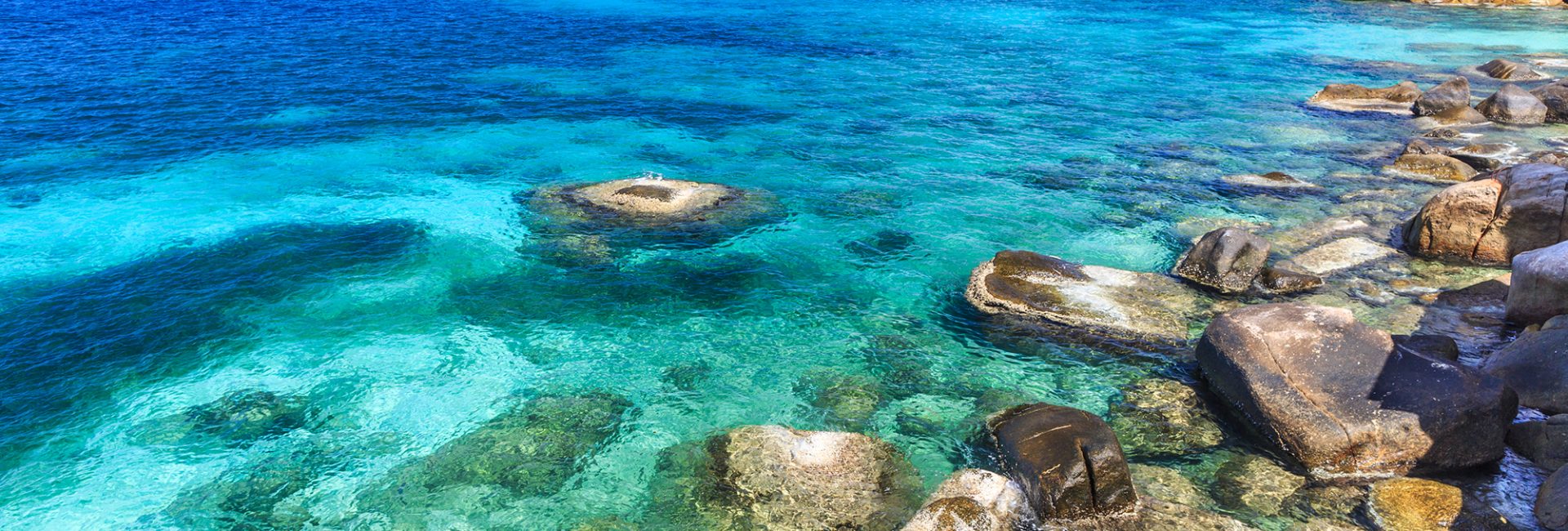 Diving in Koh Samui, Thailand? Here’s what you need to know!