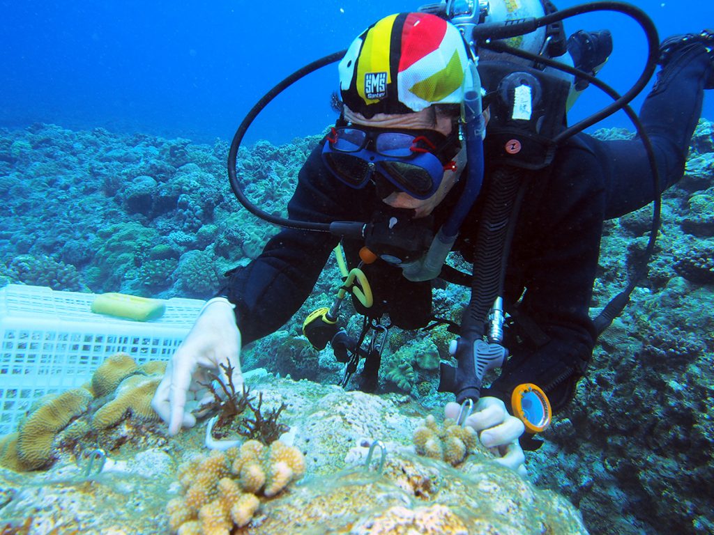 《オリンパス》「未来に残したい海」プロジェクト in 沖縄」でワールドオーシャンズデイにサンゴの植え付けを実施しました！