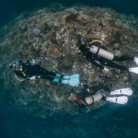 three scuba divers explore a coral reef in Fiji, one of the world's best diving destinations