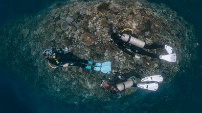 three scuba divers explore a coral reef in Fiji, one of the world's best diving destinations