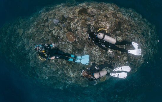 three scuba divers explore a coral reef in Fiji, one of the world's best diving destinations