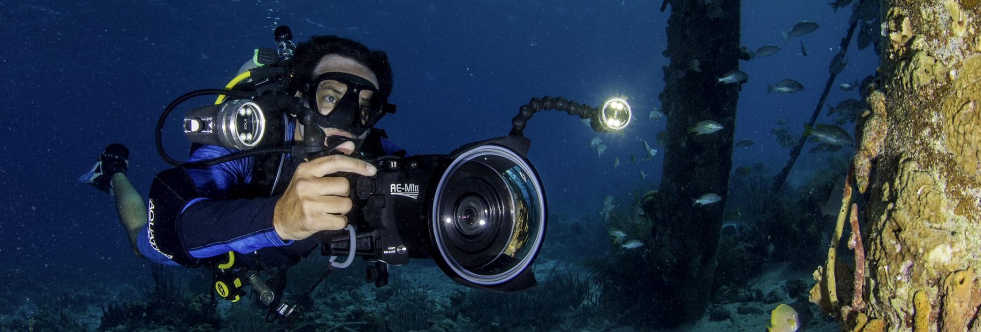 What I Learnt About Diving in Bonaire