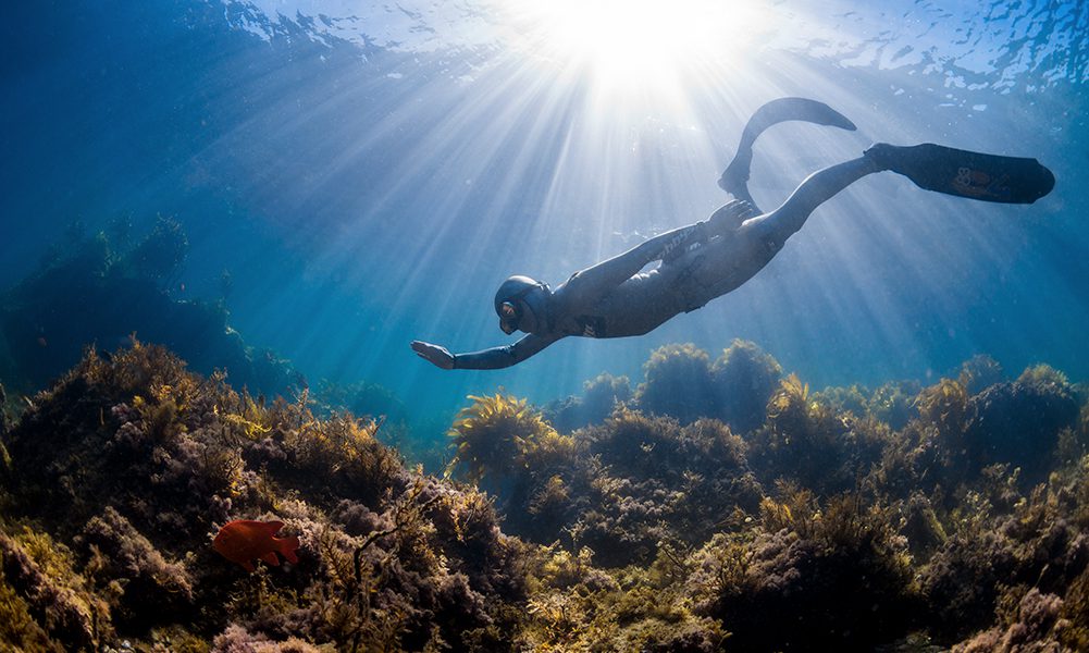 4 Things You Can Only Do as a Freediver