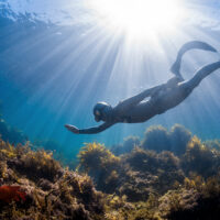 How long do freedivers hold their breath