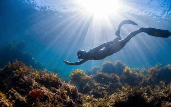 How long do freedivers hold their breath