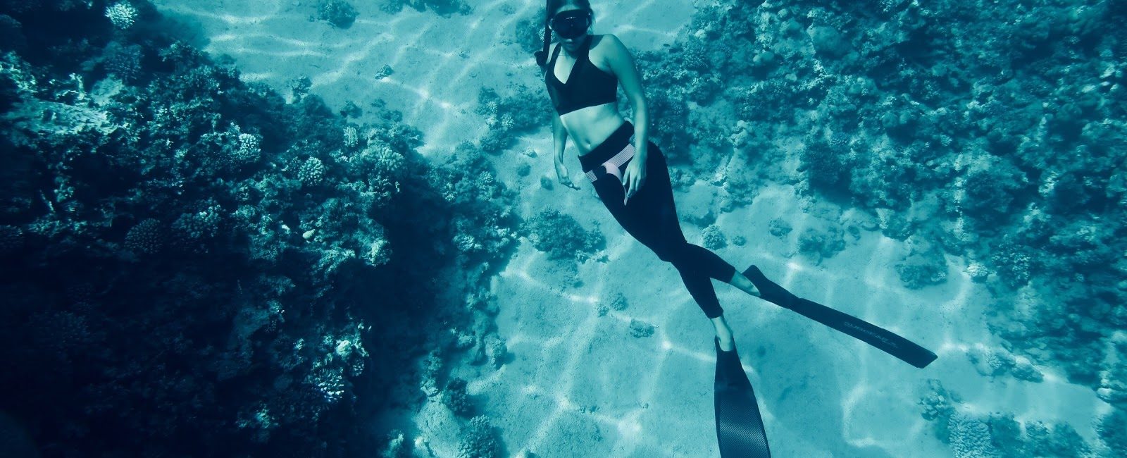 Do you have Green Fins on Holiday?