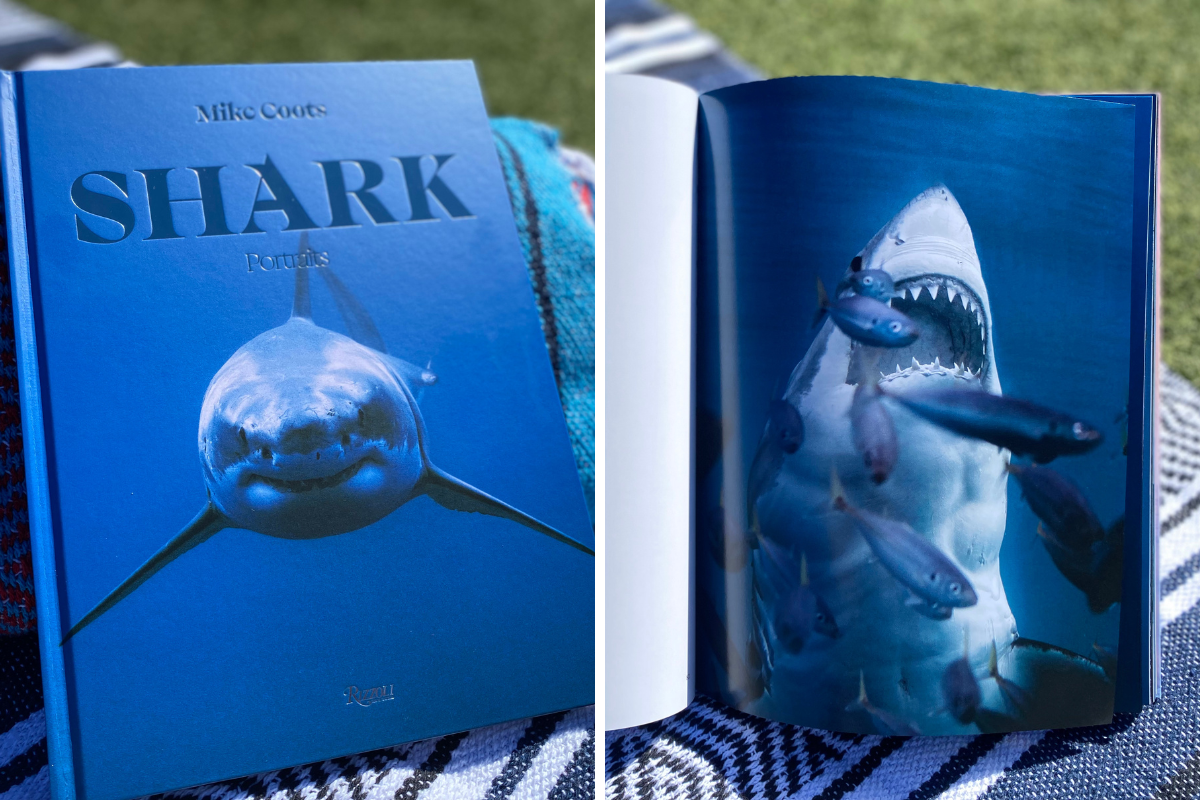 Mike Coots Shark Portraits book shown on a towel on the grass