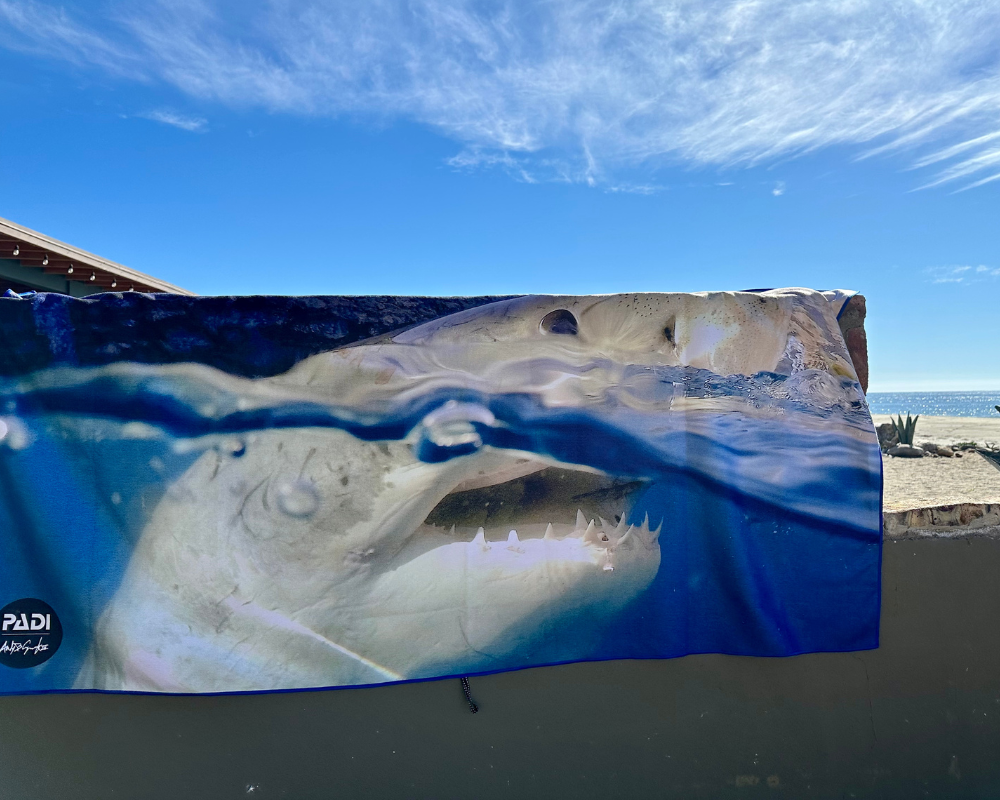 A towel with a great white shark on it at the beach