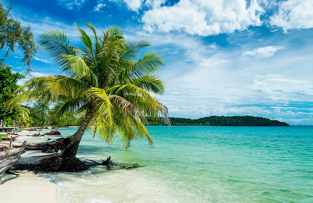 Diving Cambodia’s Incredible Top Dive Sites