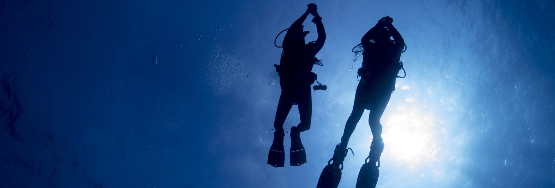 How YOU can positively impact PADI’s Four Pillars of Change
