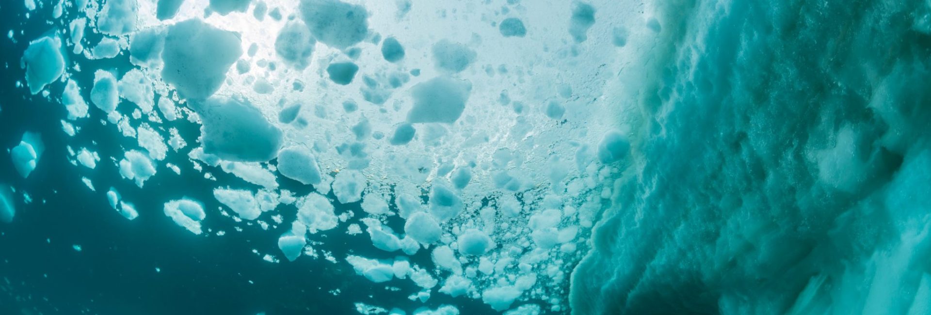 Why Ice Diving is So Special
