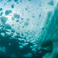 ice diving