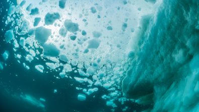 ice diving