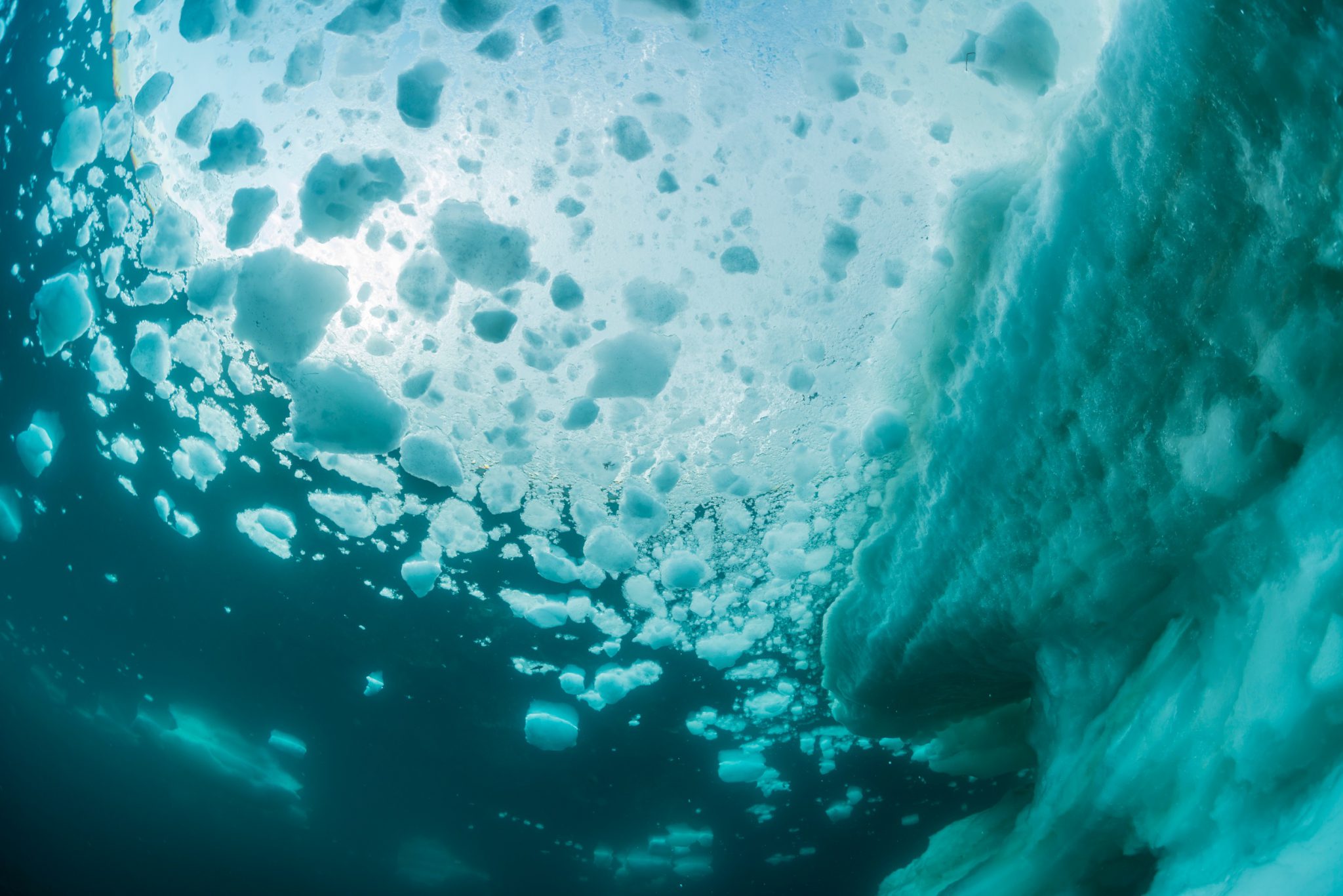 Shiretoko_IceDiving_Shutterstock