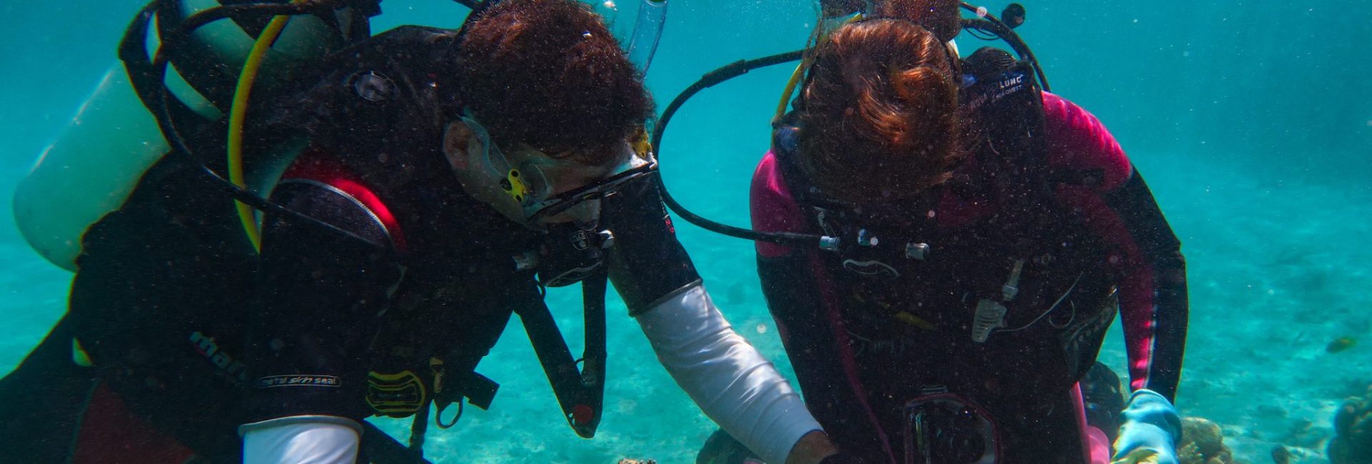 Diving into Ocean Science