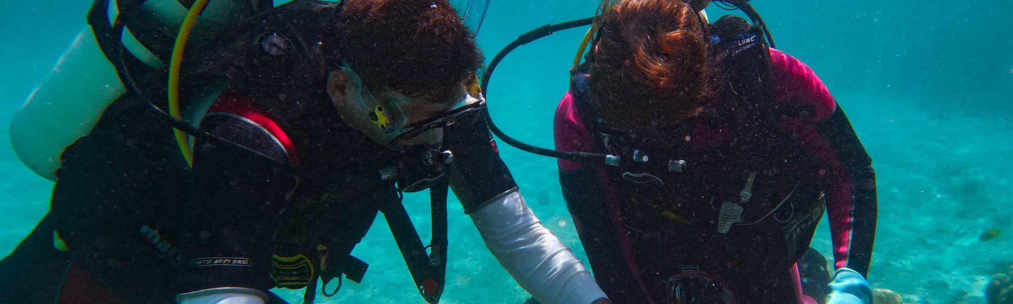 Diving into Ocean Science