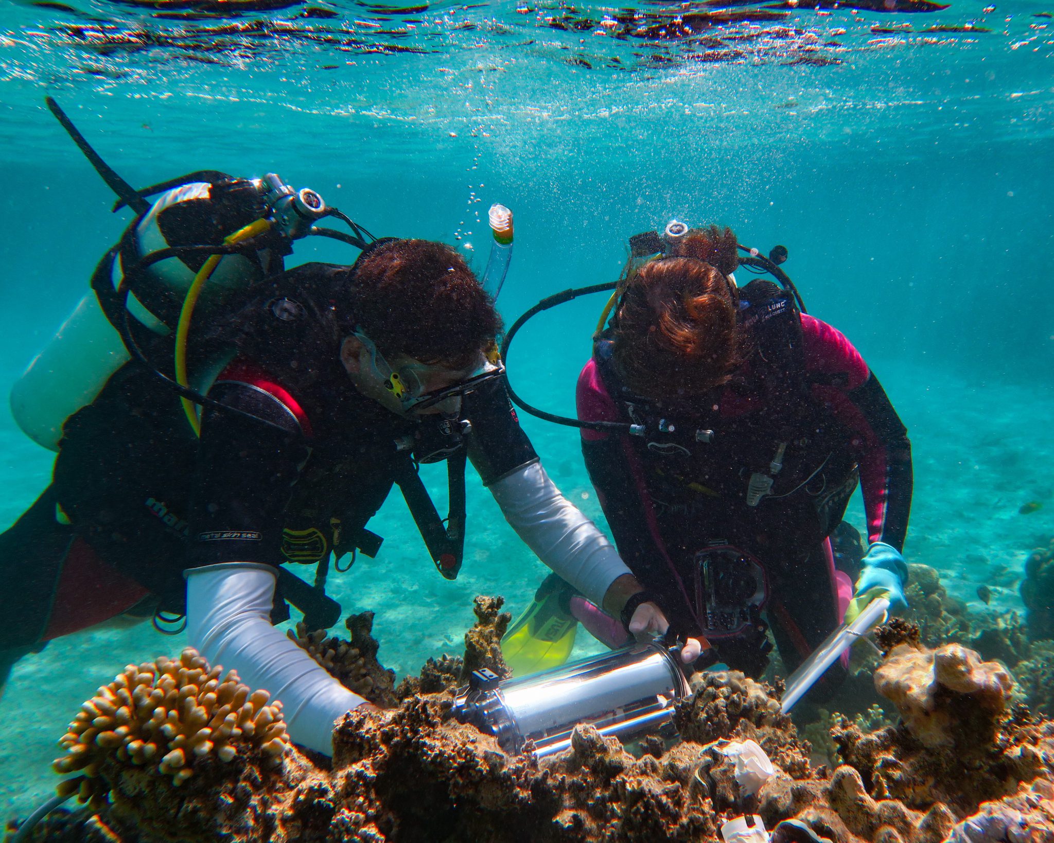 Diving into Ocean Science