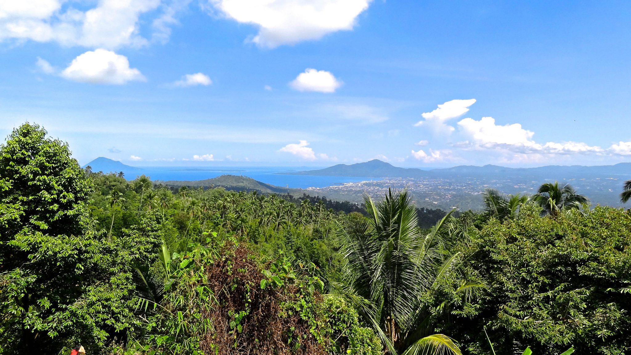 Indonesia - North Sulawesi - Thalassa Dive Resorts Indonesia