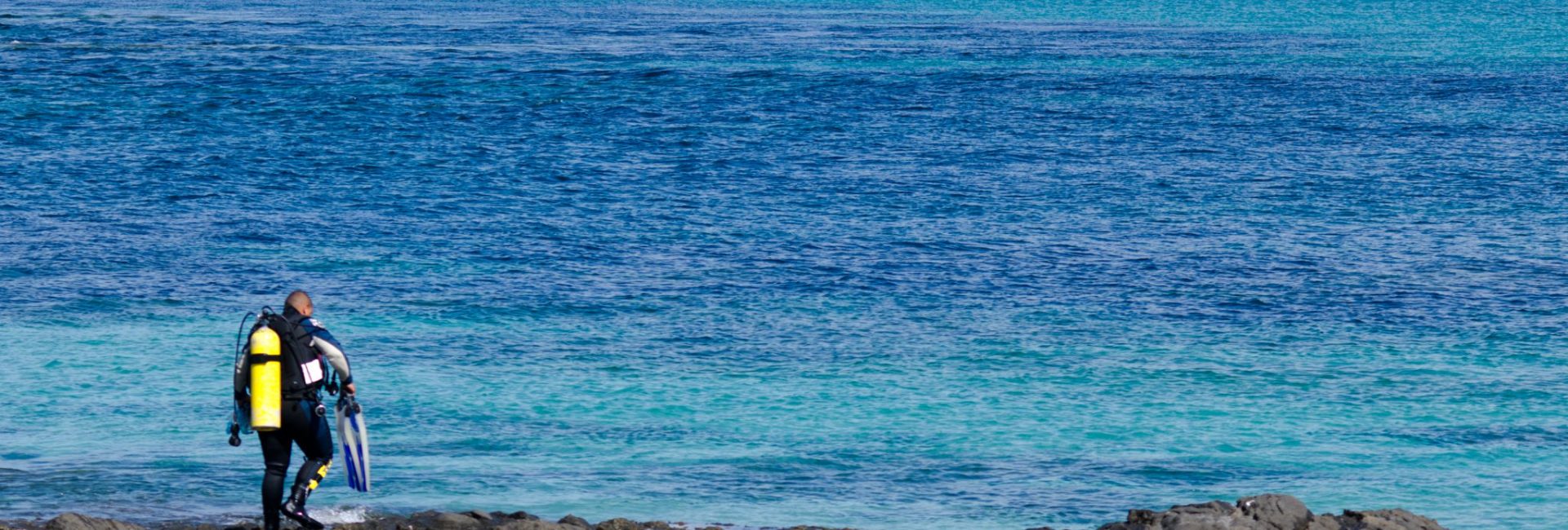 New Zealand Diving Calendar: Hotspots for All Year Round
