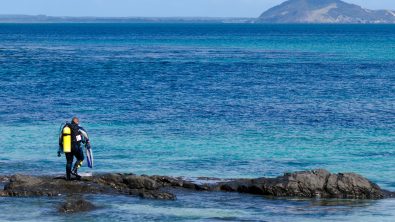 New Zealand -Karikari Peninsula - scuba diver